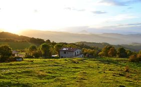 Fattoria Bio L'A Ceccoli