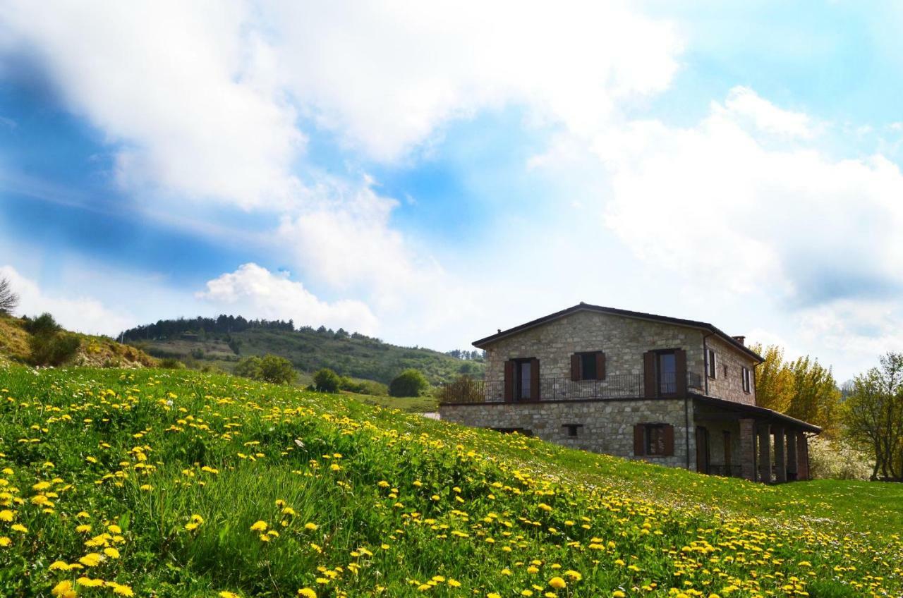 Fattoria Bio L'A Ceccoli Villa Sasso Feltrio Esterno foto