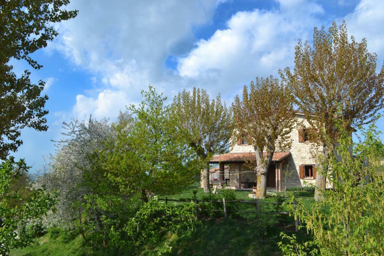 Fattoria Bio L'A Ceccoli Villa Sasso Feltrio Esterno foto